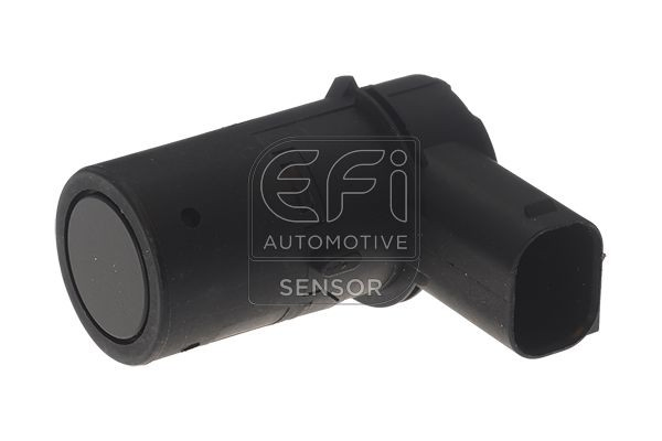 306050 EFI